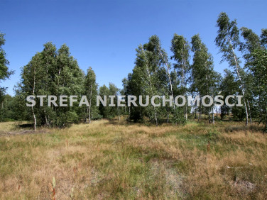 Działka rolna Roszkowa Wola