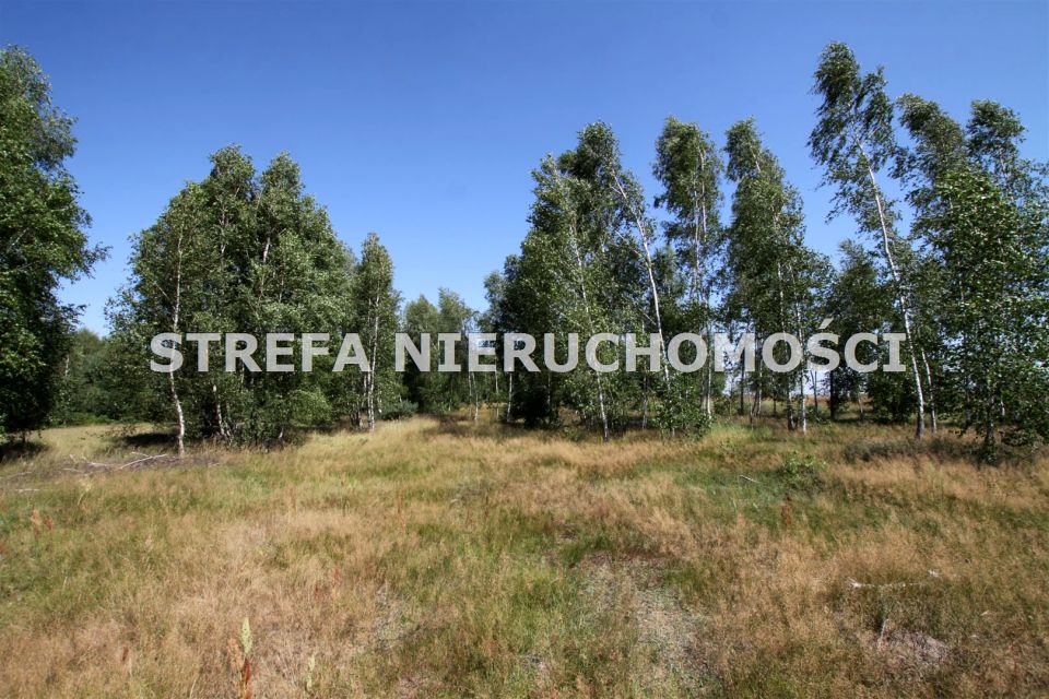 Działka rolna Roszkowa Wola