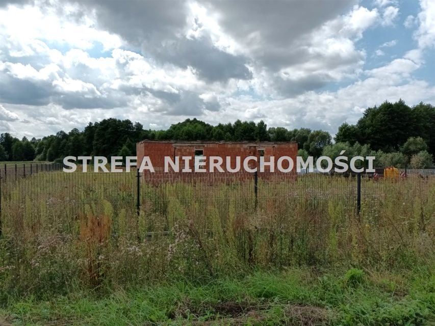 Zdjęcie 2