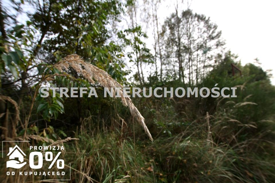 Działka rolna Małoszyce