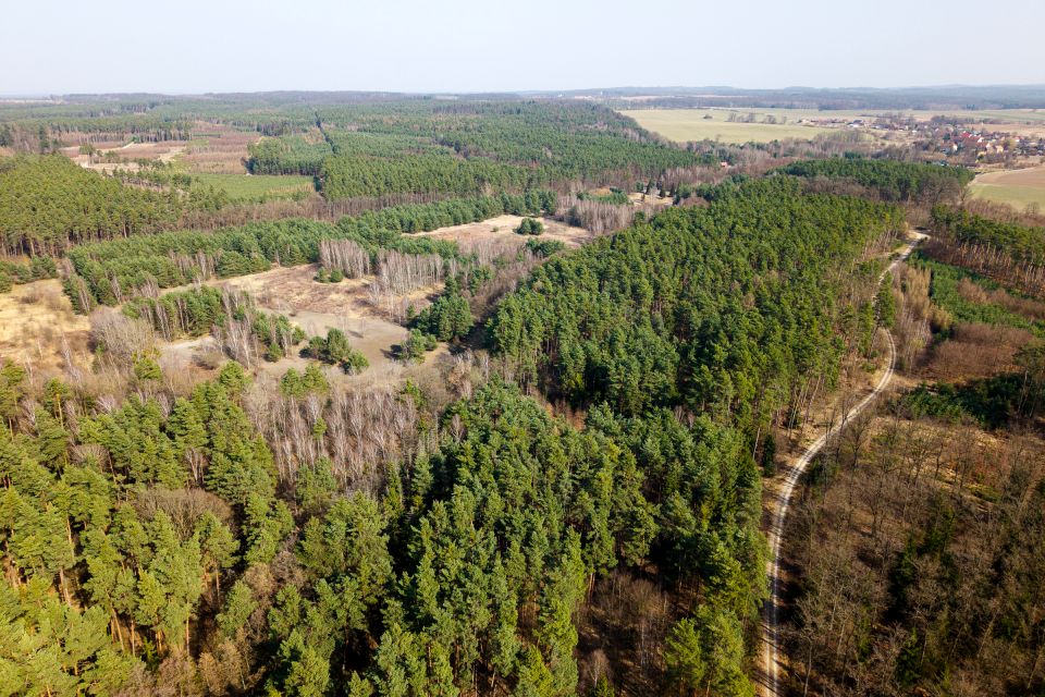 Działka inwestycyjna Rościsławice