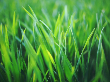 Działka budowlana Warszawa