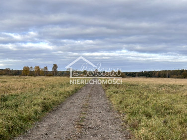 Działka budowlana Niedźwiedź