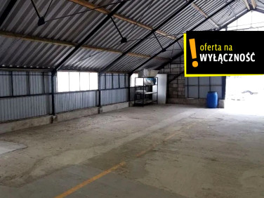 Lokal Kielce wynajem