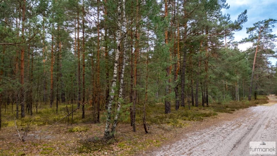 Działka leśna Majdan Kasztelański sprzedam