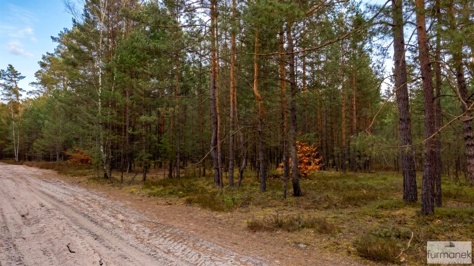 Działka leśna Majdan Kasztelański