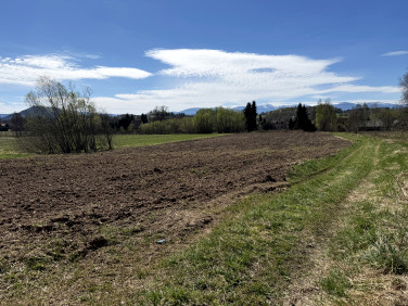 Działka usługowa Jelenia Góra