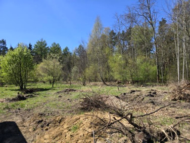 Dom Preczów sprzedaż