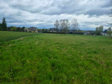 Działka budowlana Gołkowice