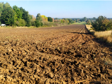 Działka budowlana Sączów sprzedam