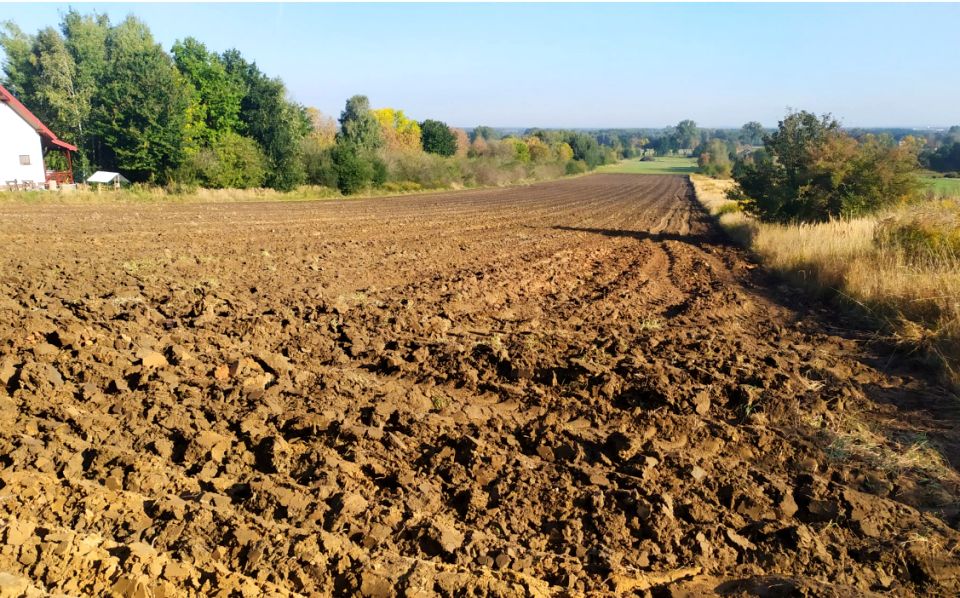 Działka budowlana Sączów sprzedam