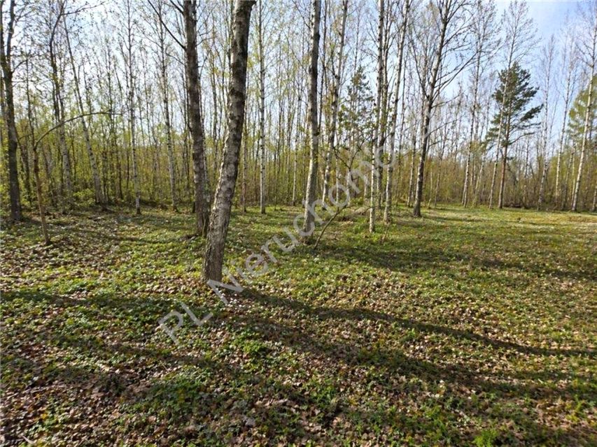 Działka budowlana Adamowizna