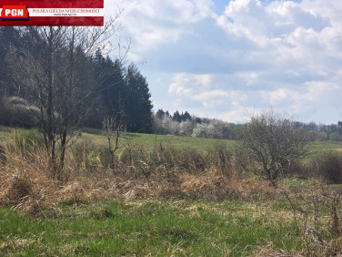 Działka Stary Wielisław