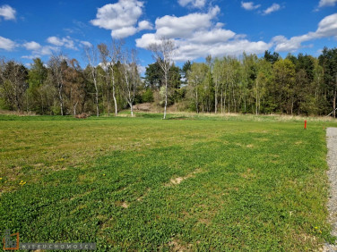 Działka Masłomiąca