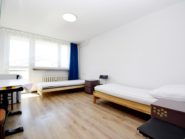 Mieszkanie Opole wynajem