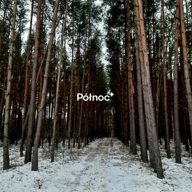 Działka leśna Uhowo