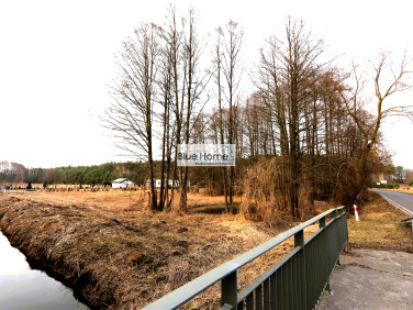 Działka siedliskowa Czarne Błoto