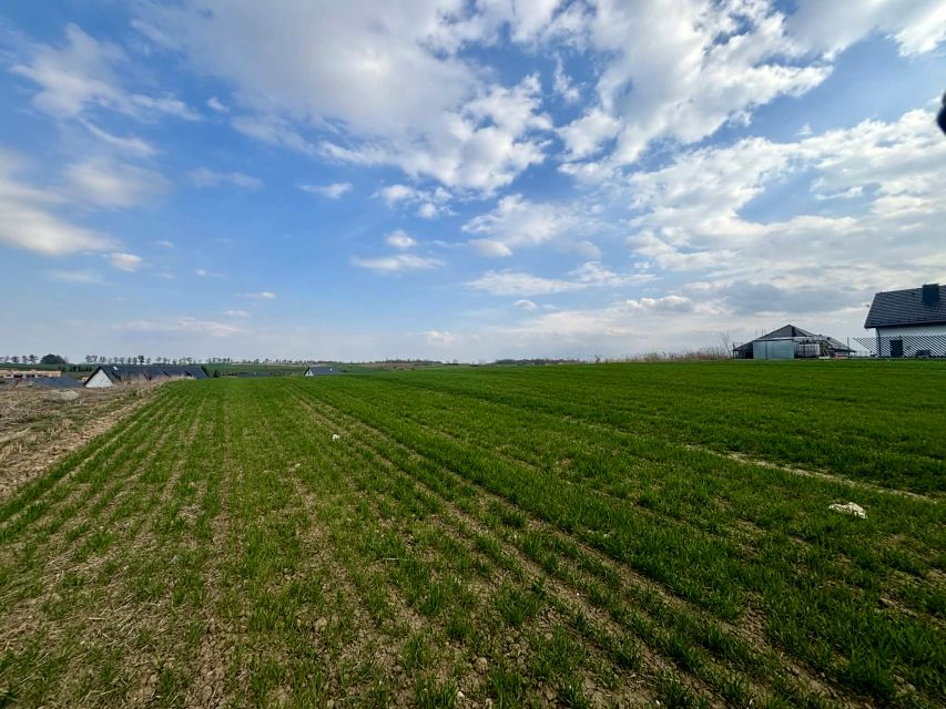 Działka budowlana Malbork