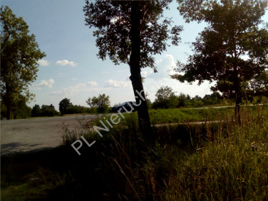 Działka przemysłowa Wielgolas Brzeziński