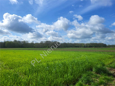 Działka budowlana Rudnik