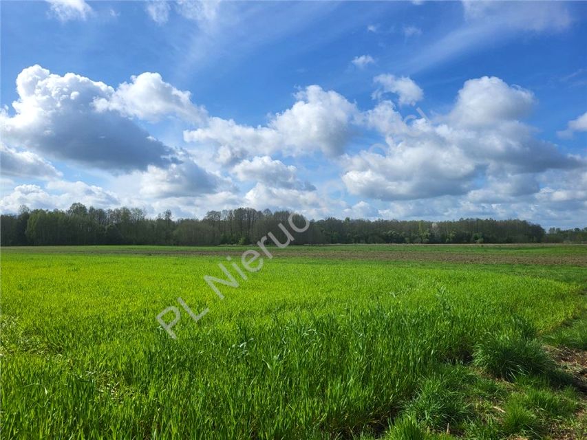 Działka budowlana Rudnik