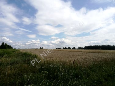 Działka Dobre