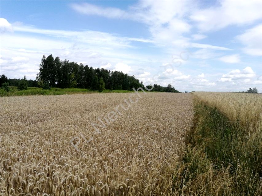 Działka Dobre