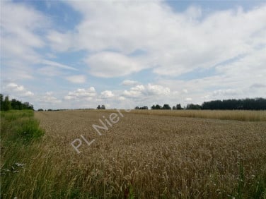 Działka budowlano-rolna Dobre sprzedam
