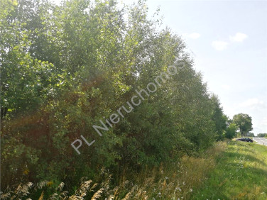 Działka Makówiec Duży