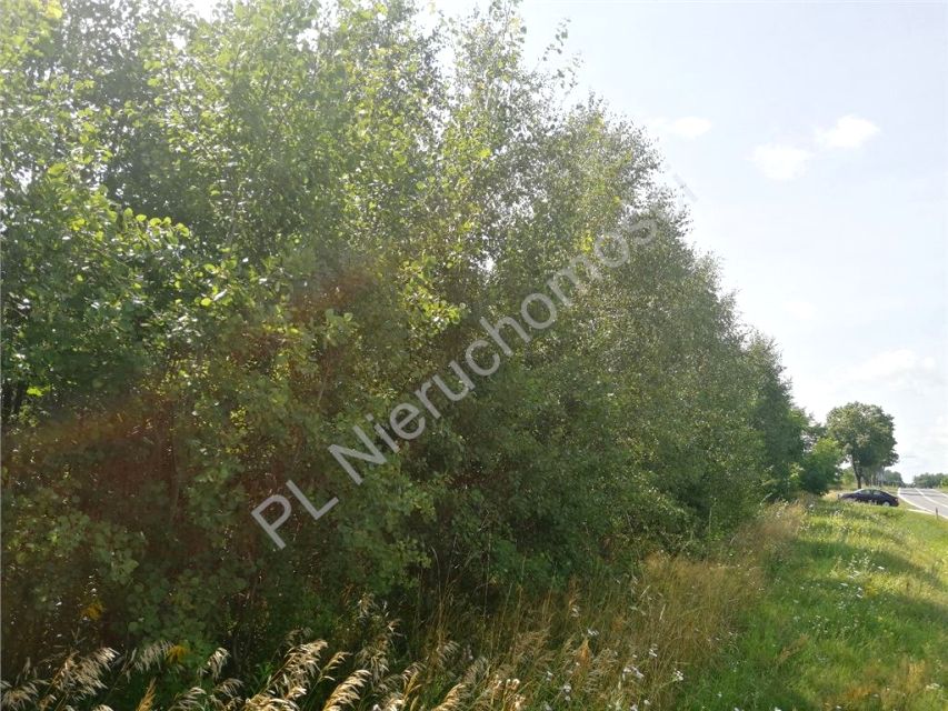 Działka Makówiec Duży