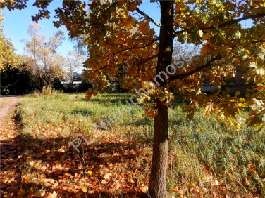 Działka budowlana Krzewina