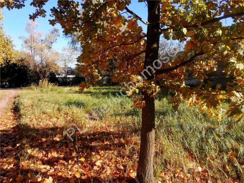 Działka budowlana Krzewina