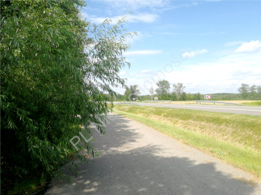 Działka budowlana Dobre