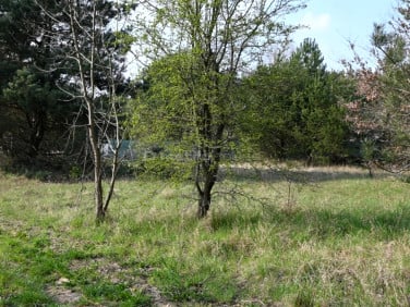 Działka budowlana sprzedam