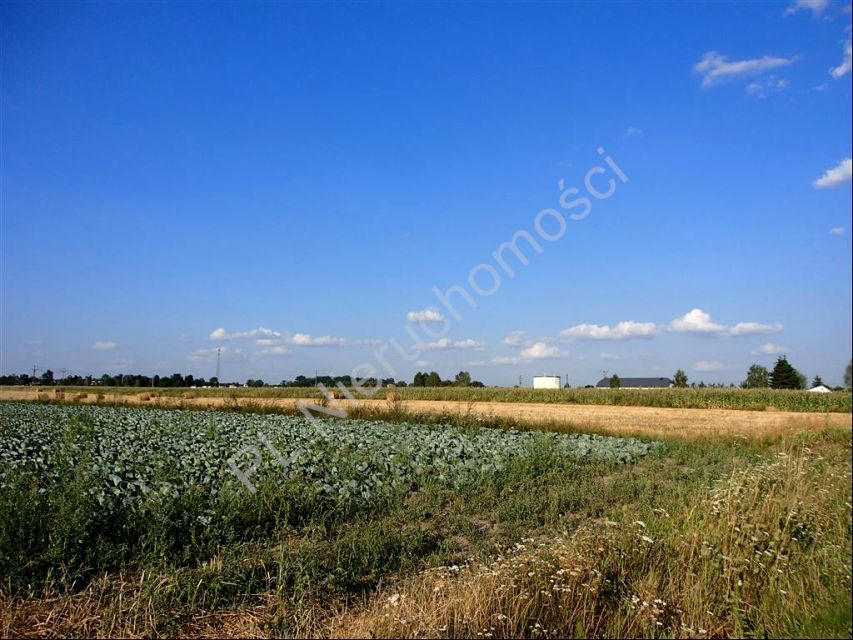 Działka budowlano-rolna Wielgolas Duchnowski