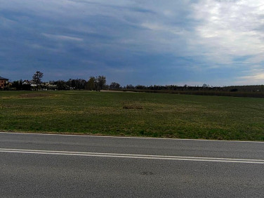 Działka inwestycyjna Stary Łajszczew sprzedam