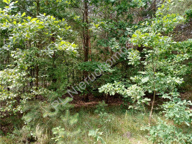 Działka budowlana Tymoteuszew