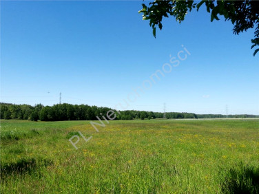 Działka Jaworek