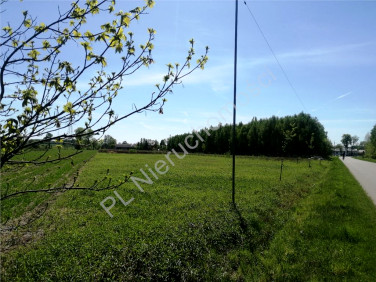 Działka budowlana Jędrzejnik