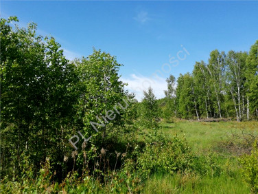 Działka budowlana Wola Polska