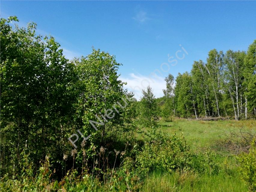 Działka budowlana Wola Polska