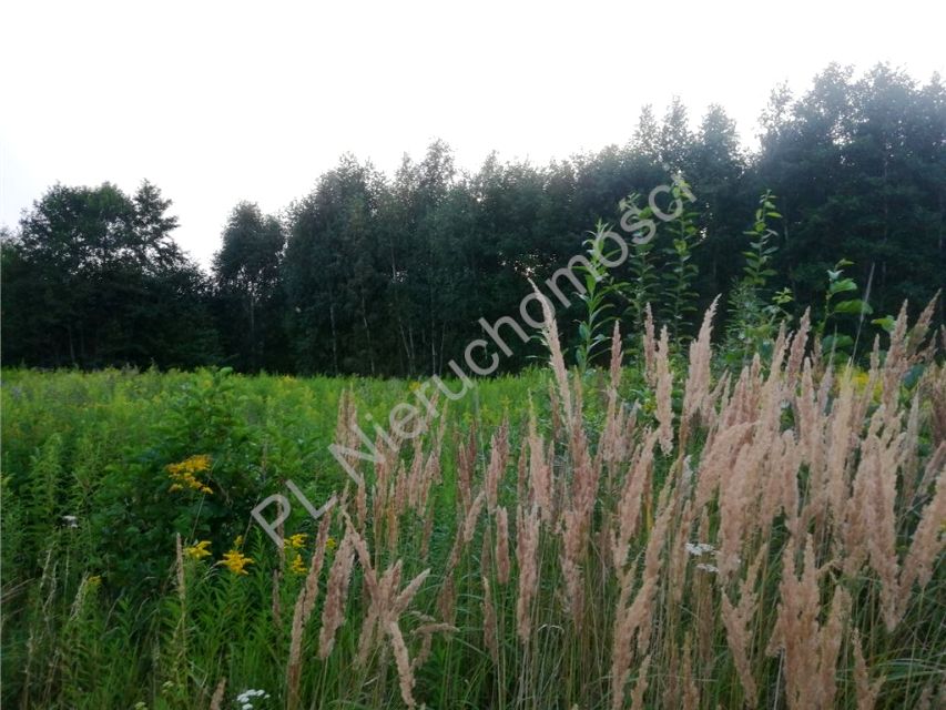 Działka budowlana Cyganka