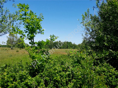 Działka Duchnów