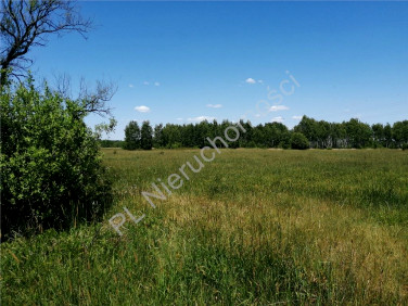 Działka rolna Duchnów