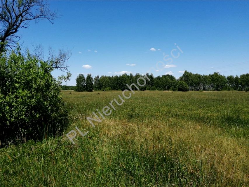 Działka rolna Duchnów