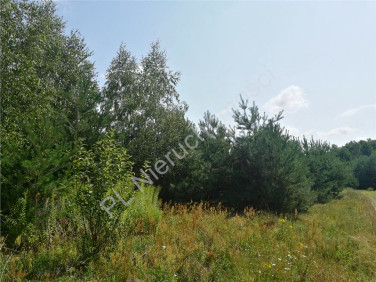 Działka budowlana Makówiec Duży