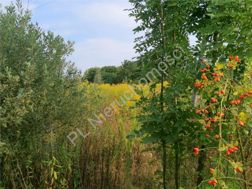 Działka budowlana Mlęcin