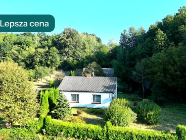 Dom Skomorochy Duże