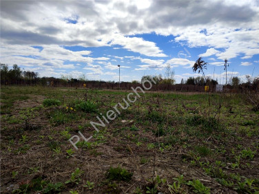 Działka budowlana Szczęsne