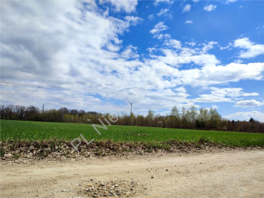 Działka Odrano-Wola